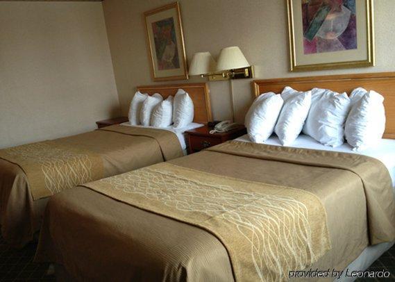 Comfort Inn Meadowvale Mississauga Oda fotoğraf